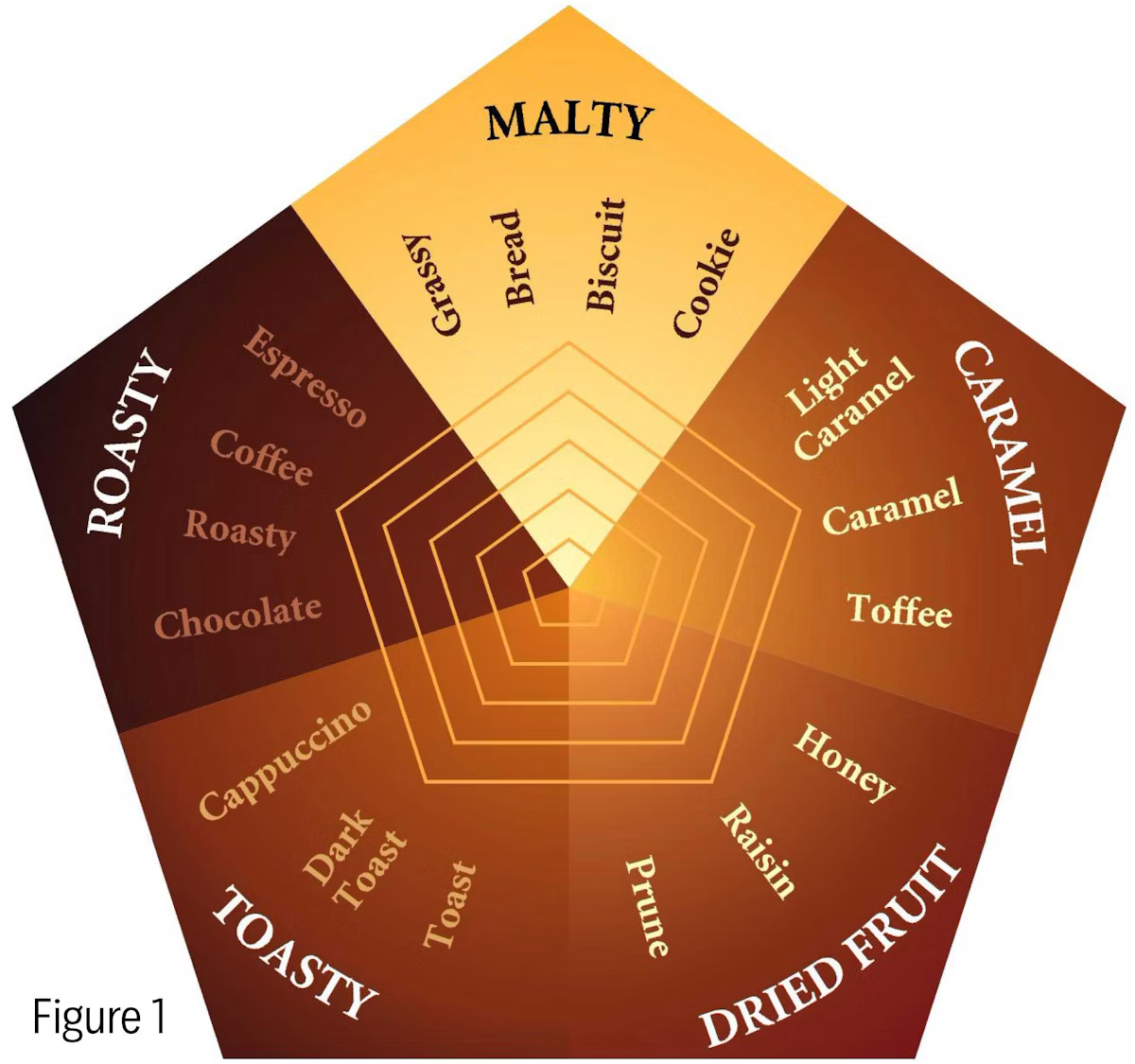 Malt flavour map showing malty, caramel, dried fruit, toasty and roasty categories