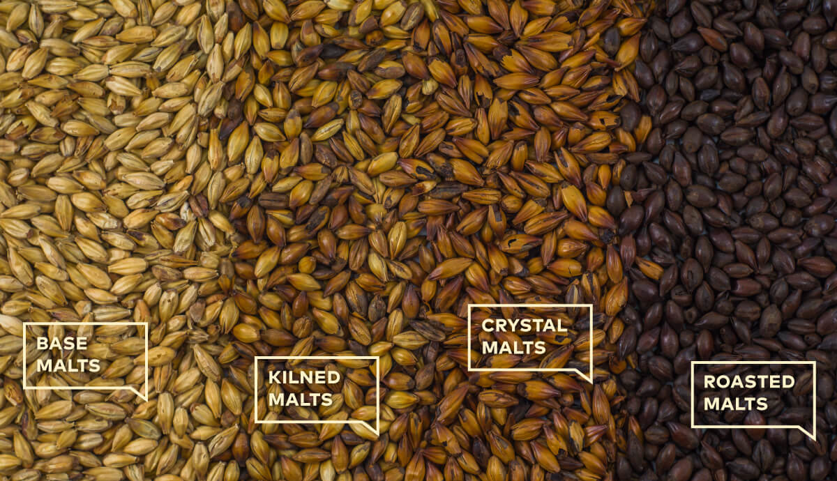 Base, kilned, crystal and roasted malt samples arranged from pale to dark